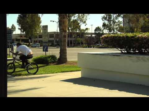 Eclat BMX - Ashley Charles Edit.