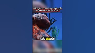 Khi vô tình nuốt phải con bạch tuộc còn sống  #cothebanchuabiet #shorts #bạchtuộc