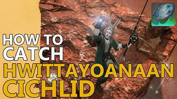 How to Catch Hwittayoanaan Cichlid in FFXIV