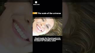 The Scale Of The Universe