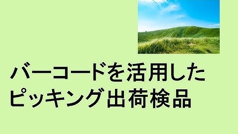 バーコードを活用したピッキング出荷検品