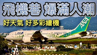 飛機巷 爆滿人潮 29 aircraft take off and land / Taipei Songshan Airport.