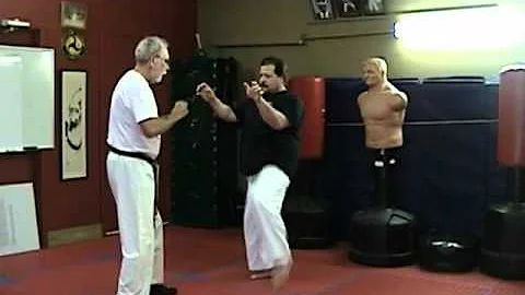 Uechi ryu karate core principles as taught by G.E....