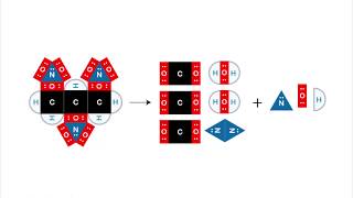 Nitroglycerin Detonation with Chemichips
