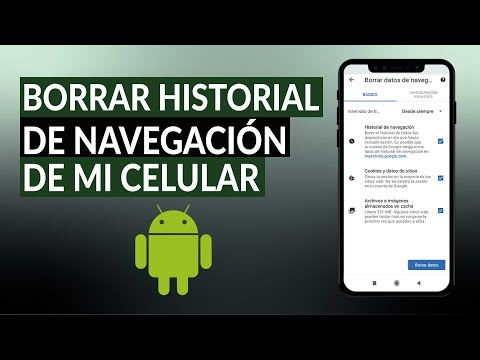 Video: ¿Se elimina el historial de navegación?