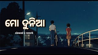 Mo Dunia Odia Lofi Song Slowedxreverbhumane Sagar
