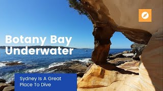 Botany Bay Underwater