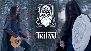 Dryante - The Prophet (Tribal OST)