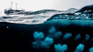 Stop Seismic Testing