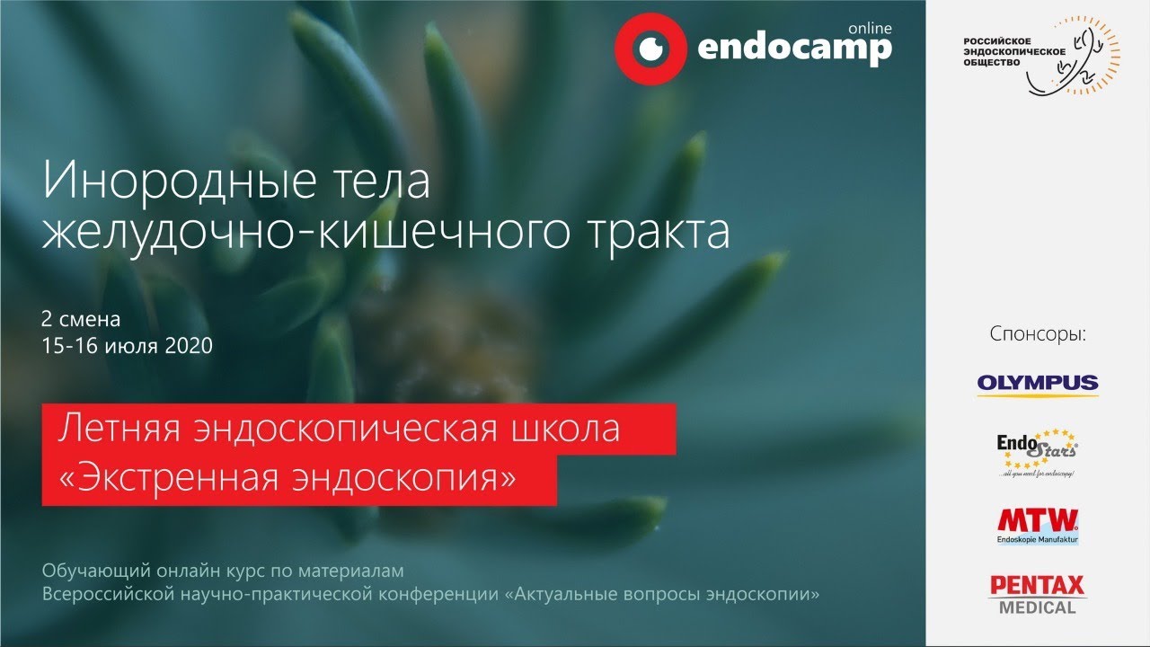 Endocamp 2020-2021. Вторая смена "Инородные тела желудочно-кишечного тракта" (день 2)