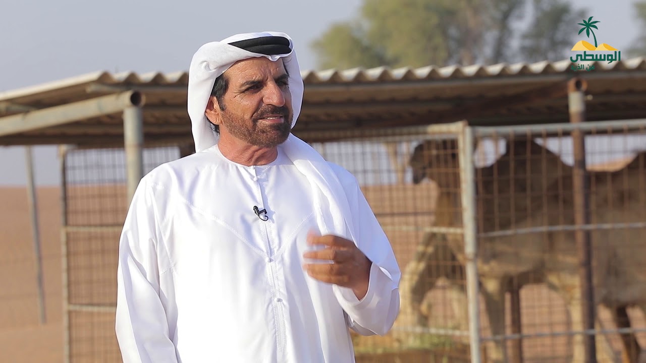 أهل الابل - السيد عبيد بن علي بالرشيد