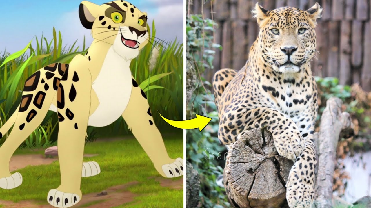 The Lion Guard Characters In Real Life YouTube