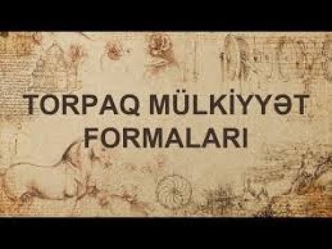 Video: Hansı Mülkiyyət Formaları Var