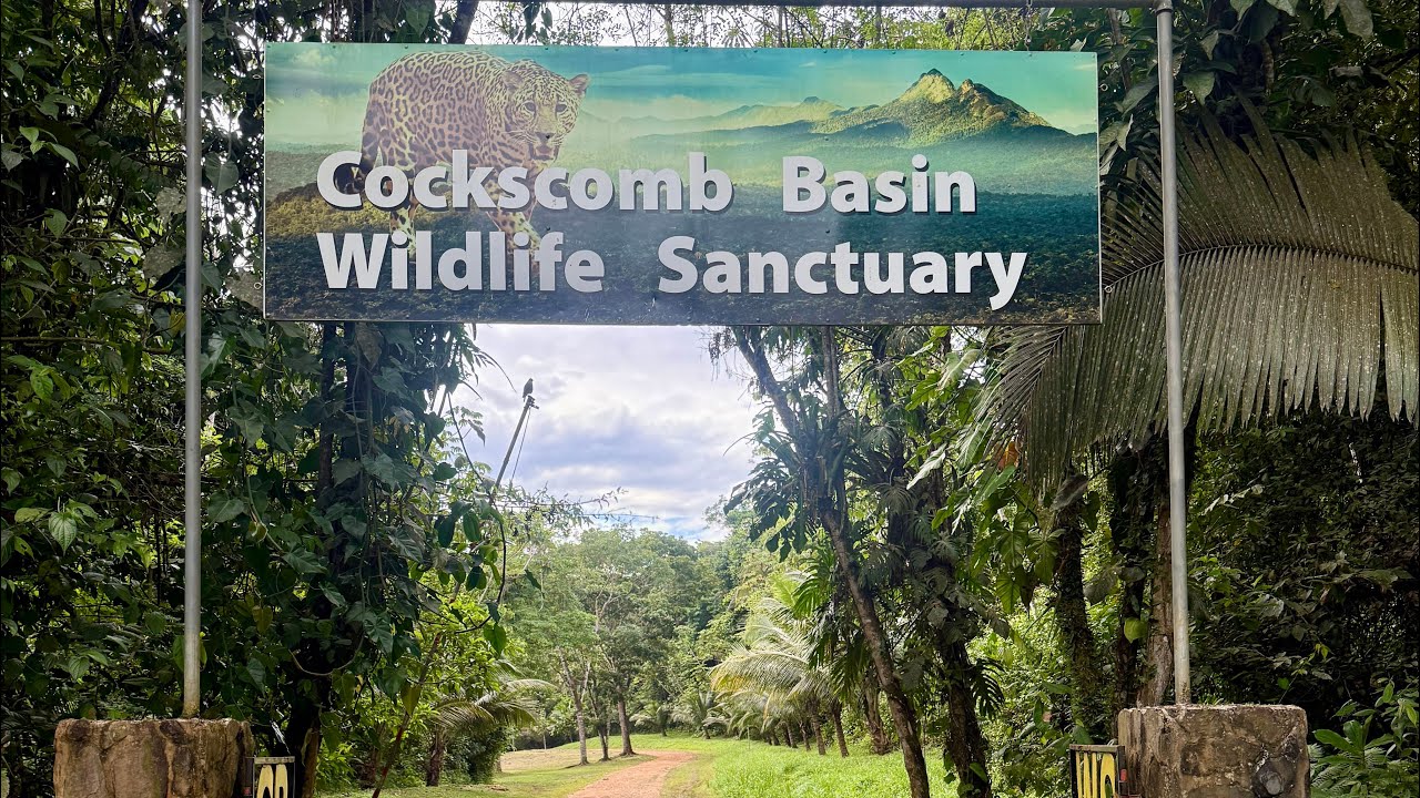 Cockscomb Basin Wildlife Sanctuary