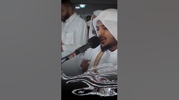 حالات واتس// قرآن كريم// بصوت الشيخ هيثم الدخين// صوت مريييح.