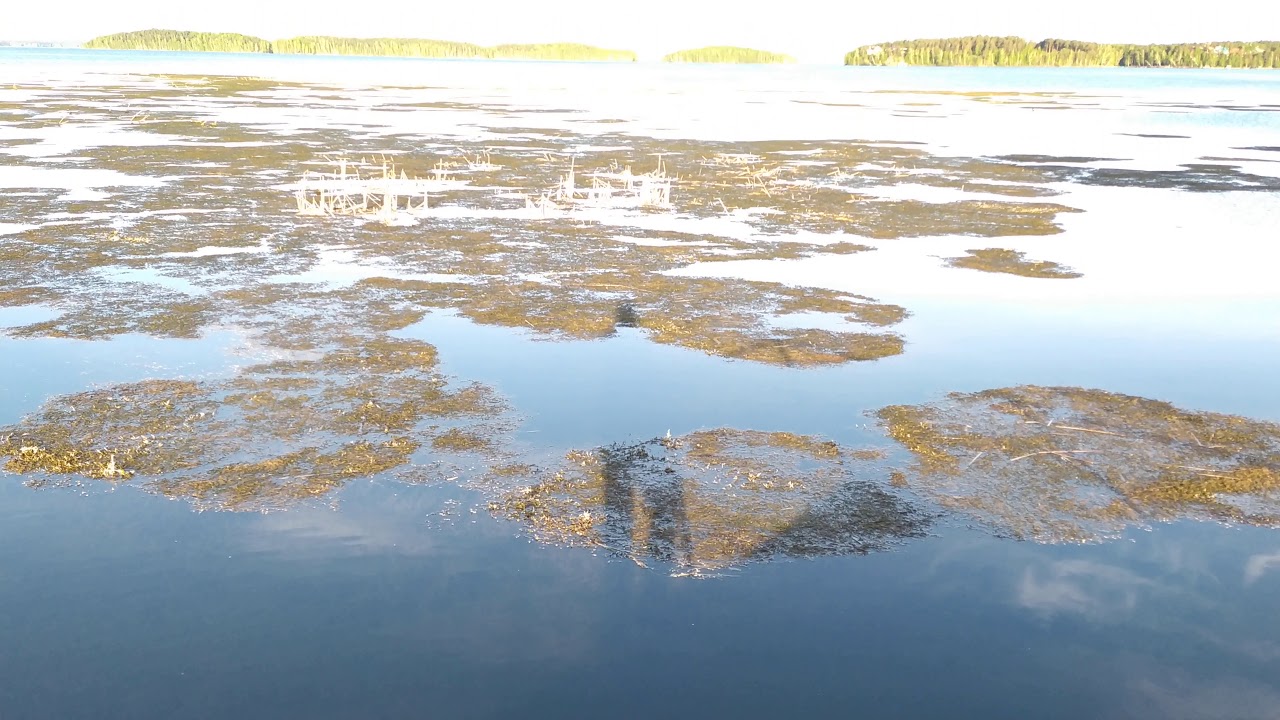 Погода на озере вода