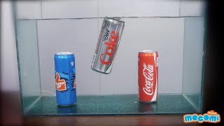 Coke vs Diet Coke Experiment - Science Projects for Kids | Educational Videos by Mocomi