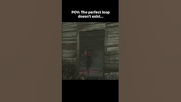 POV: The Perfect Loop doesn