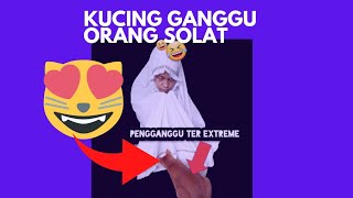 kucing lucu menggemaskan ganggu orang solat