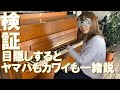 目隠しをしてピアノを弾いたら、ヤマハとカワイどちらも同じなのかを検証してみた。