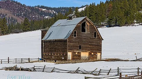 Intro to Photography: Basics 101: Master the Exposure Triangle, RAW vs JPEG, & Camera Modes!