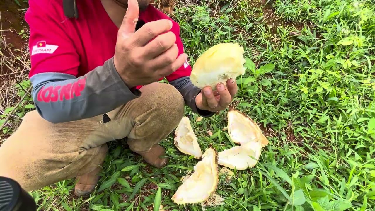 Life on a Coffee Farm in Vietnam | Morning Routine, Durian & Banana Harvest