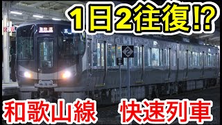 【1日2往復の優等種別】和歌山線の快速列車に乗ってみた