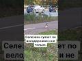 Во время вечерней прогулки встретил селезней и не только #shorts