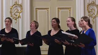 Х.Бусто "Salve Regina"  хор CANTILENA