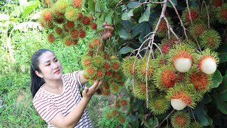 Amazing fruit season in my village - Expecting mum harvest Rambutan fruit and cooking