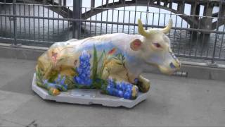 Cole Living - Cow Parade Austin 2011