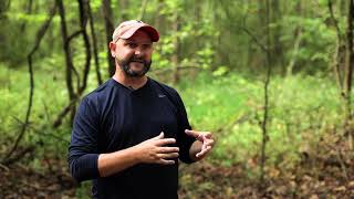 The Call of the Swamp - Bird-Voiced Tree Frog FULL DOCUMENTARY
