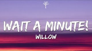 Willow - Wait A Minute!s Tiktok Remix