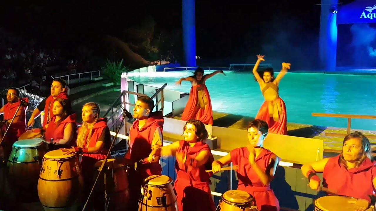 Acuarium 2⃣0⃣2⃣0⃣ Show Nocturno de delfines en4⃣k Mar del Plata