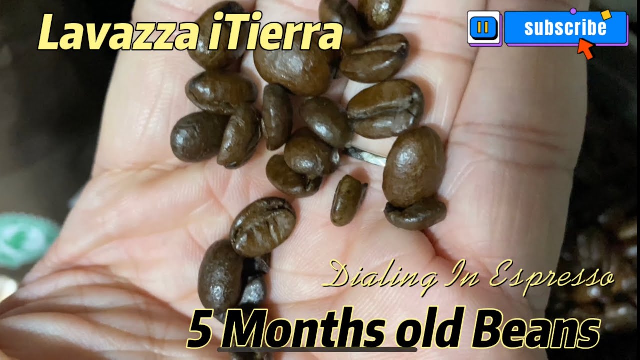 Dialing In 5 months old Beans | Breville Barista Pro