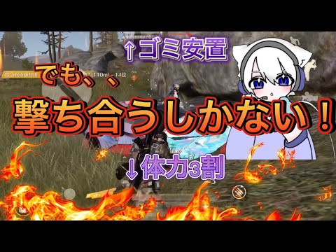 やるしかねぇ！！！！（シングルゲリラpart109）【荒野行動】
