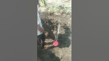 Soil Profile Sampling Of Soil A and B level