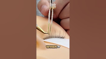 Isolate each individual lash