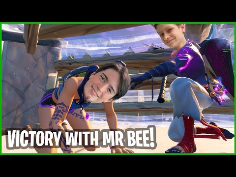 GETTING A VICTORY ROYALE WITH MR BEE!