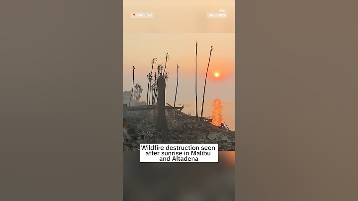 Wildfire destruction seen after sunrise in Malibu and Altadena