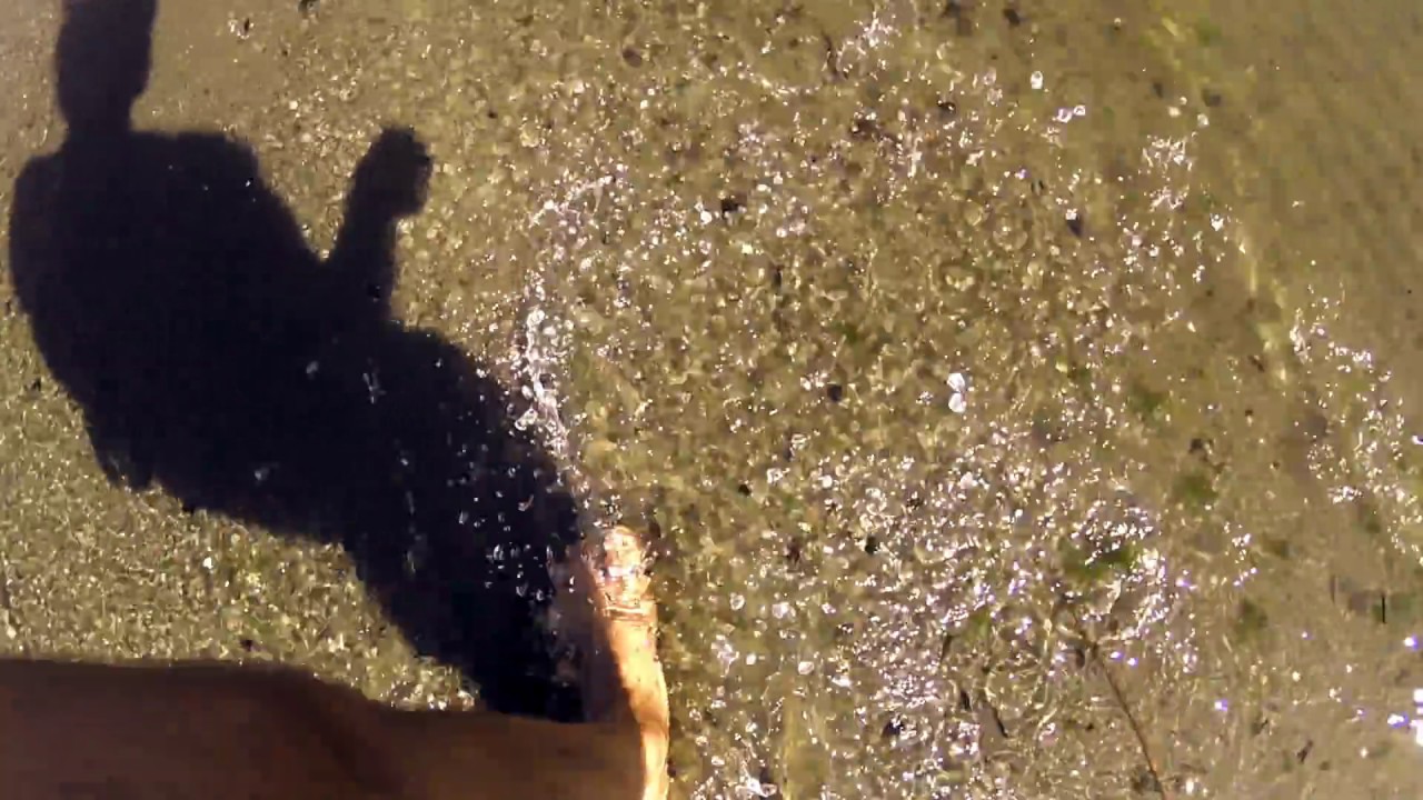 Tommi Liimatta & The Hot Contents: Sään salliessa