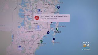 Elevated Levels Of Bacteria Around Biscayne Bay Due To Eta-Induced Flooding