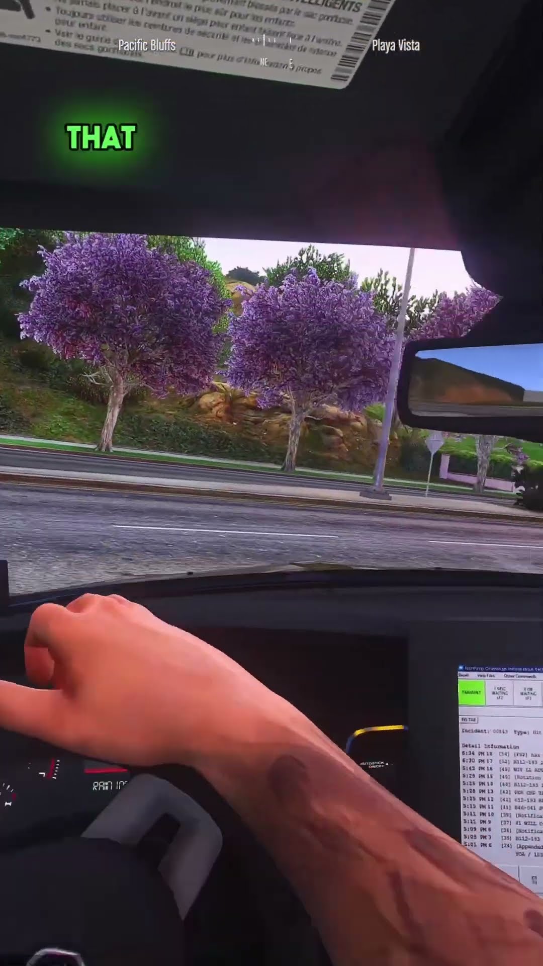What  a chase #gta5 #gta #stevethegamer55