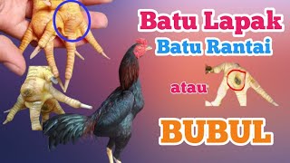 Sisik batu rantai dan Batu Lapak