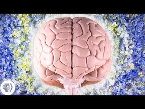 वीडियो: संज्ञानात्मक मनोविज्ञान में रचनात्मकता क्या है?