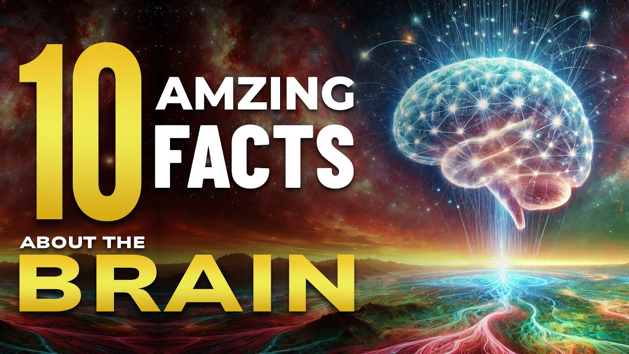 10 Amazing Facts About Human Brain Nautical Depth YouTube 10-amazing-facts-about-human-brain-nautical-depth-youtube