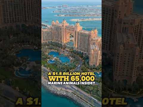 The $1.5 Billion Hotel Hiding 65,000 Marine Animals #shorts #history #facts #didyouknow #timelapse