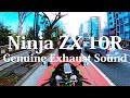 【Ninja ZX-10R Type-D】Genuine exhaust sound Recording test【Tokyo City Drive】排気音