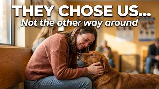 We Let Dogs Pick Their Families on Adoption Day And THIS Happened 😢😢🐾 #adorable #adoption #dog