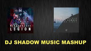Legion & Lions in the Wild (DJ Shadow Music Mashup) I Martin Garrix , Blasterjaxx , John Martin